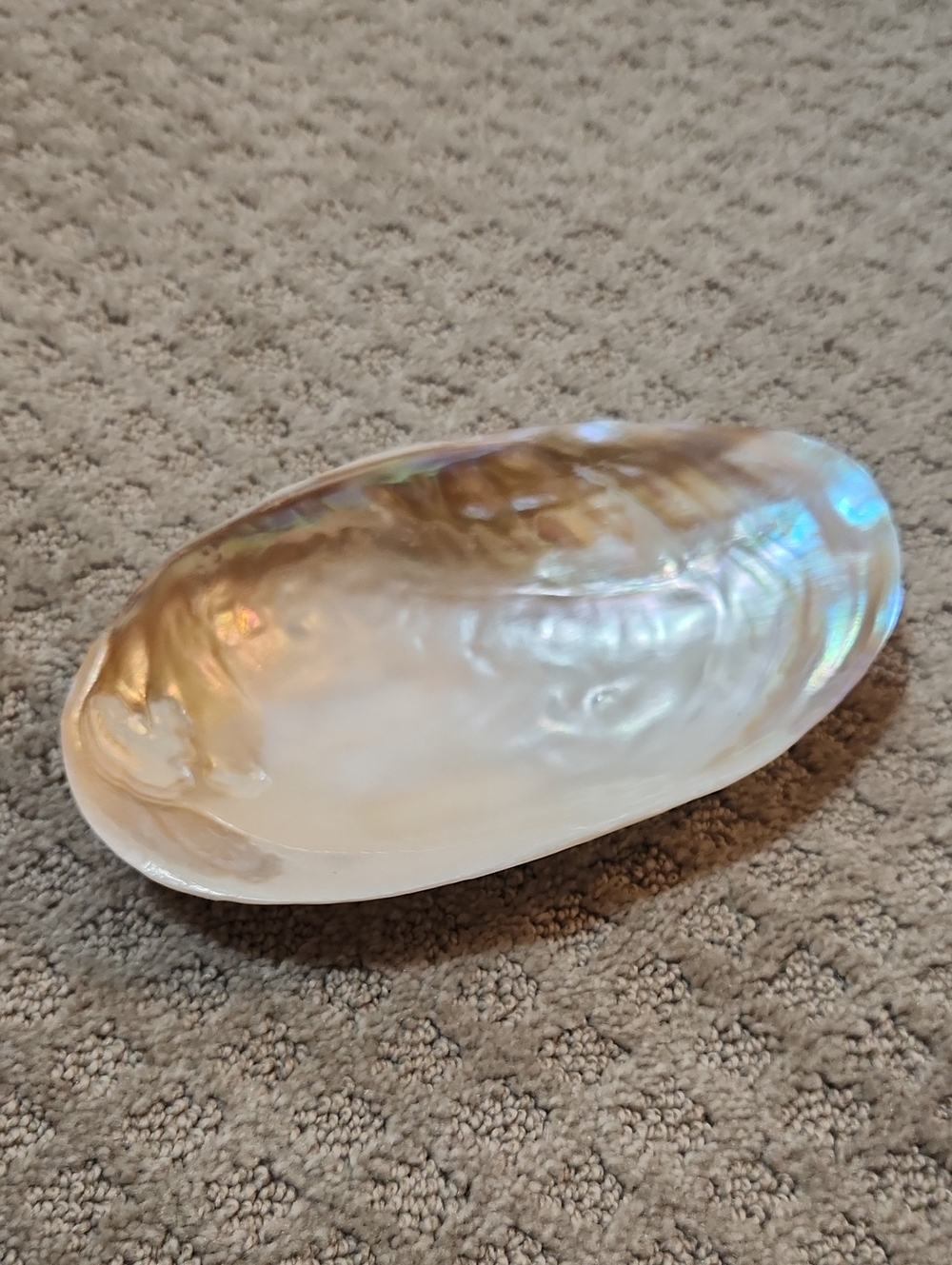 Shell Decor Iridescent Mother-of-Pearl Decorative Bowl Creamy White Iridescence